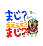 れんちゃんぽんめん（個別スタンプ：37）