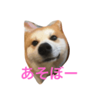 ふみえJAPAN（個別スタンプ：4）