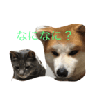 ふみえJAPAN（個別スタンプ：5）
