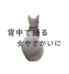 しらこ様の雑なスタンプPart2（個別スタンプ：12）