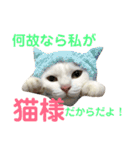 しらこ様の雑なスタンプPart2（個別スタンプ：18）