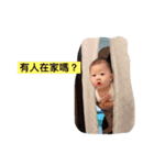 キンバちゃんの大冒険（個別スタンプ：5）