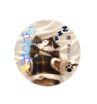 チョコ太郎スタンプ（個別スタンプ：2）
