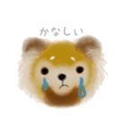 わが家のレサパン（個別スタンプ：19）