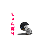 ざわざわ子ペンギンと仲間たち（個別スタンプ：30）