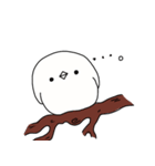 てくてくエナガさん 文字無し（個別スタンプ：13）
