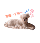 ピピ～ごはんよ！（個別スタンプ：2）