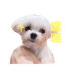 ピピ～ごはんよ！（個別スタンプ：4）