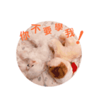 ピピ～ごはんよ！（個別スタンプ：10）