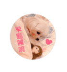 ピピ～ごはんよ！（個別スタンプ：11）