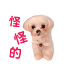 ピピ～ごはんよ！（個別スタンプ：13）