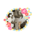 今年も、頑張りまーす。（個別スタンプ：2）