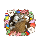 今年も、頑張りまーす。（個別スタンプ：3）