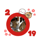 今年も、頑張りまーす。（個別スタンプ：4）