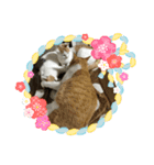 今年も、頑張りまーす。（個別スタンプ：5）