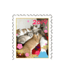 今年も、頑張りまーす。（個別スタンプ：6）
