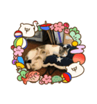今年も、頑張りまーす。（個別スタンプ：8）