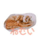 ねむいねむいねむいネコ（個別スタンプ：1）