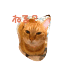 ねむいねむいねむいネコ（個別スタンプ：4）