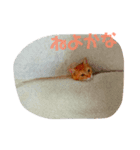 ねむいねむいねむいネコ（個別スタンプ：7）