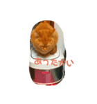 ねむいねむいねむいネコ（個別スタンプ：8）