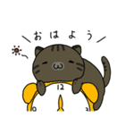 ぽてキャット（個別スタンプ：6）