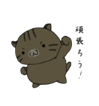 ぽてキャット（個別スタンプ：15）