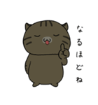 ぽてキャット（個別スタンプ：16）