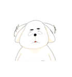 犬のオッス♂ ＆ メッス♀（個別スタンプ：4）
