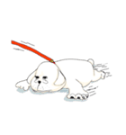 犬のオッス♂ ＆ メッス♀（個別スタンプ：10）