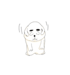 犬のオッス♂ ＆ メッス♀（個別スタンプ：13）