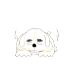 犬のオッス♂ ＆ メッス♀（個別スタンプ：14）