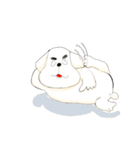 犬のオッス♂ ＆ メッス♀（個別スタンプ：19）
