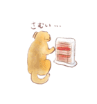 犬とどうぶつたちのパクチースタンプ（個別スタンプ：21）