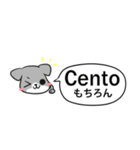 ねことイタグレ イタリア語 ver（個別スタンプ：11）