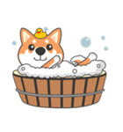 柴犬ママ（個別スタンプ：37）