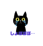 黒猫ふうた（個別スタンプ：7）
