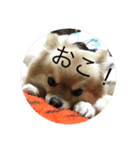 自由気まま,にこちゃん。（個別スタンプ：5）