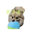 自由気まま,にこちゃん。（個別スタンプ：9）