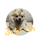 自由気まま,にこちゃん。（個別スタンプ：10）