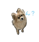 自由気まま,にこちゃん。（個別スタンプ：14）