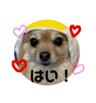 自由気まま,にこちゃん。（個別スタンプ：16）