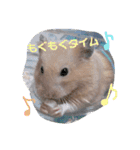 キンクマハムスターのけんたろう（個別スタンプ：29）