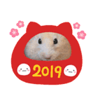 キンクマハムスターのけんたろう（個別スタンプ：32）