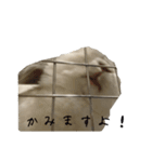 うさぎのリーシャ（個別スタンプ：31）
