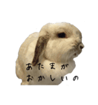うさぎのリーシャ（個別スタンプ：35）