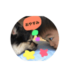 あおとあつき こじろう（個別スタンプ：10）