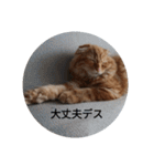 まるの日常会話②（個別スタンプ：7）