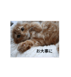 まるの日常会話②（個別スタンプ：10）
