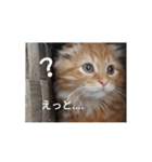 まるの日常会話②（個別スタンプ：14）